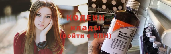 шишки Елабуга