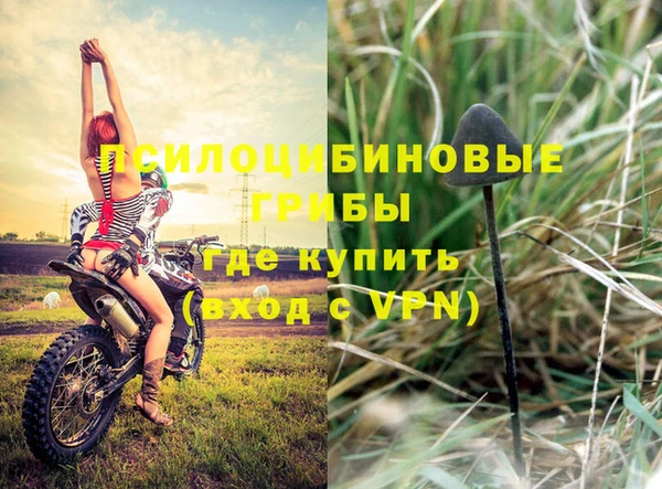 MESCALINE Ельня