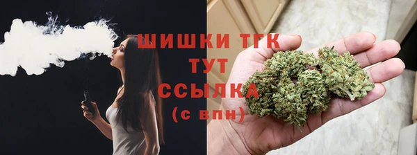 шишки Елабуга