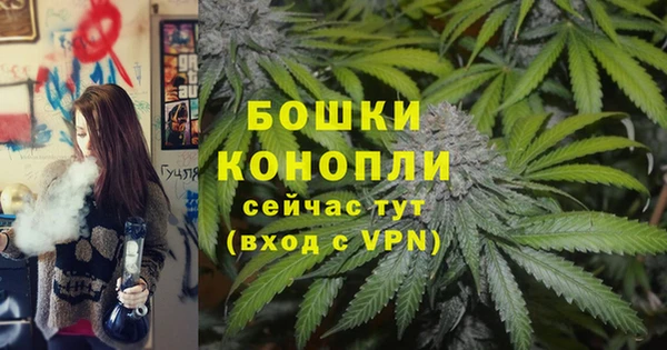 шишки Елабуга