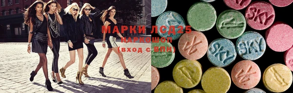 шишки Елабуга