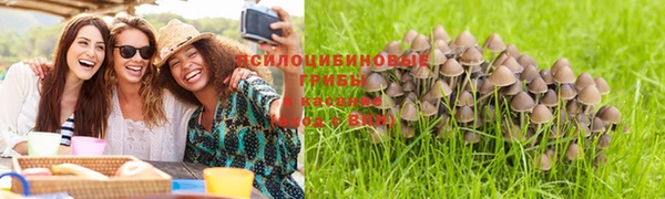 MDMA Елизово
