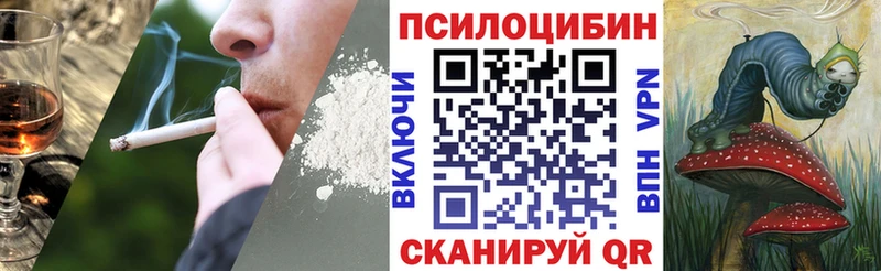 Псилоцибиновые грибы прущие грибы площадка телеграм Зеленокумск