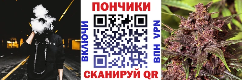 Бошки марихуана планчик  купить закладку  Зеленокумск 